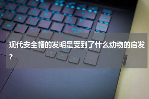 现代安全帽的发明是受到了什么动物的启发？
