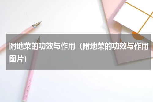 附地菜的功效与作用（附地菜的功效与作用图片）
