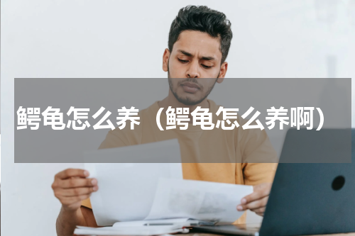 鳄龟怎么养（鳄龟怎么养啊）