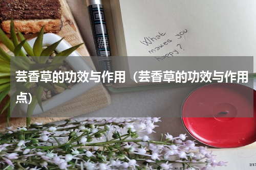 芸香草的功效与作用（芸香草的功效与作用点）
