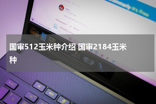 国审512玉米种介绍 国审2184玉米种