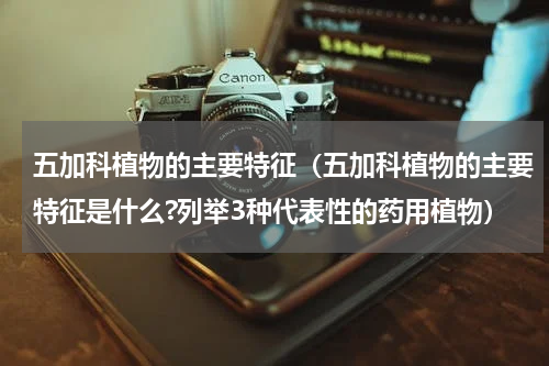 五加科植物的主要特征（五加科植物的主要特征是什么?列举3种代表性的药用植物）