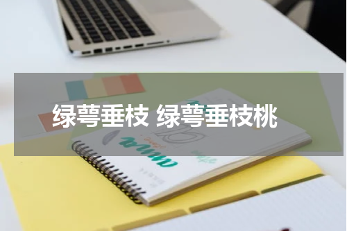 绿萼垂枝 绿萼垂枝桃