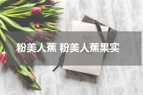 粉美人蕉 粉美人蕉果实