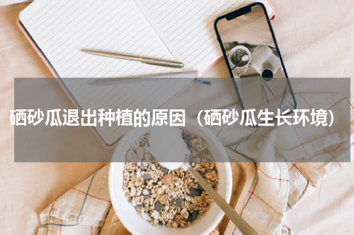 硒砂瓜退出种植的原因（硒砂瓜生长环境）