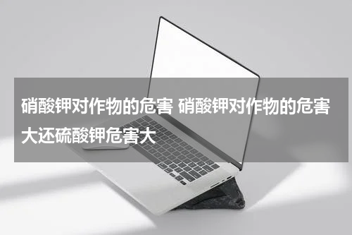 硝酸钾对作物的危害 硝酸钾对作物的危害大还硫酸钾危害大