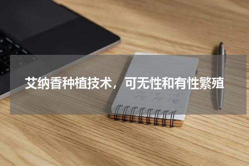 艾纳香种植技术，可无性和有性繁殖
