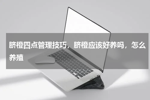 脐橙四点管理技巧，脐橙应该好养吗，怎么养殖