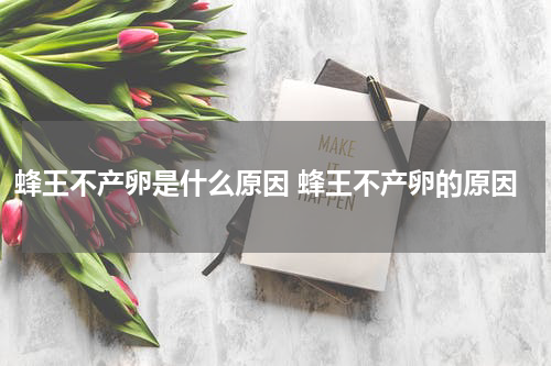 蜂王不产卵是什么原因 蜂王不产卵的原因