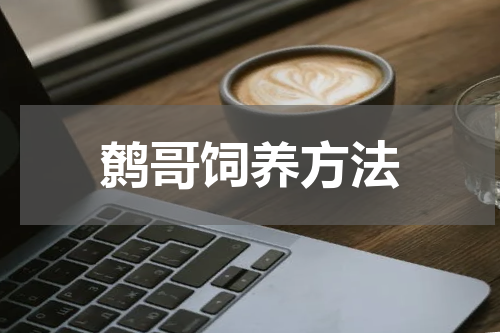 鹩哥饲养方法