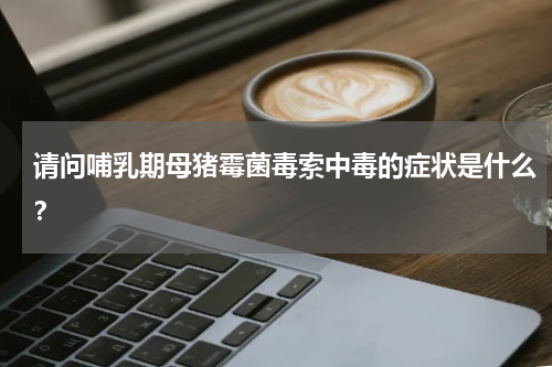 请问哺乳期母猪霉菌毒索中毒的症状是什么？