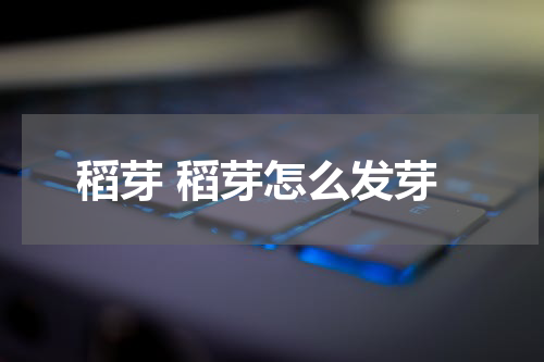 稻芽 稻芽怎么发芽
