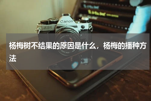 杨梅树不结果的原因是什么，杨梅的播种方法