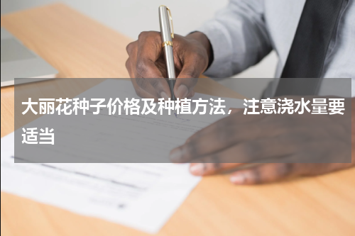 大丽花种子价格及种植方法，注意浇水量要适当