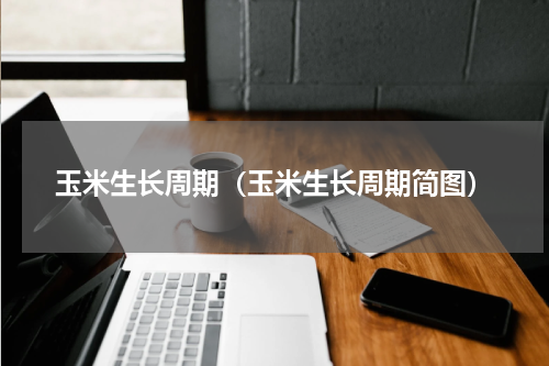 玉米生长周期（玉米生长周期简图）
