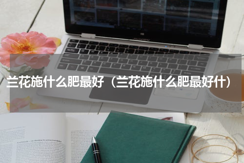 兰花施什么肥最好（兰花施什么肥最好什）
