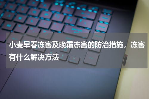 小麦早春冻害及晚霜冻害的防治措施，冻害有什么解决方法