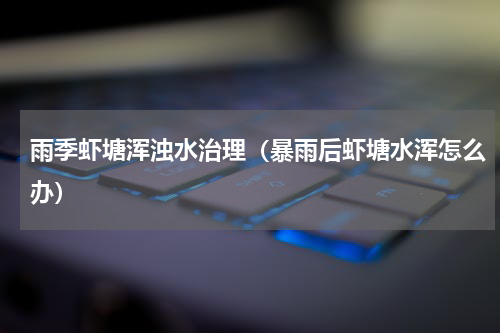 雨季虾塘浑浊水治理（暴雨后虾塘水浑怎么办）