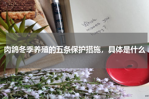 肉鸽冬季养殖的五条保护措施，具体是什么