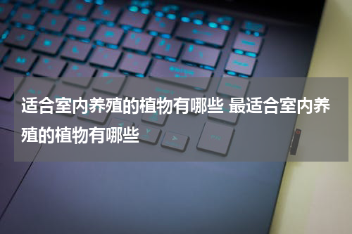 适合室内养殖的植物有哪些 最适合室内养殖的植物有哪些