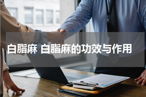 白脂麻 白脂麻的功效与作用
