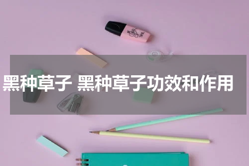 黑种草子 黑种草子功效和作用