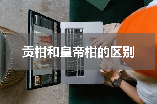贡柑和皇帝柑的区别