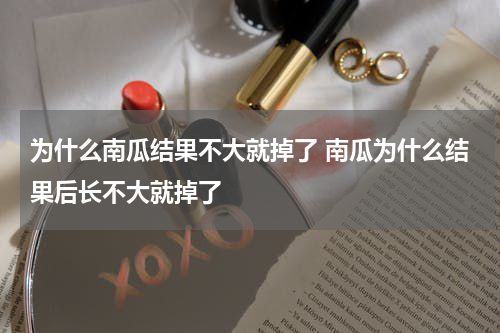 为什么南瓜结果不大就掉了 南瓜为什么结果后长不大就掉了
