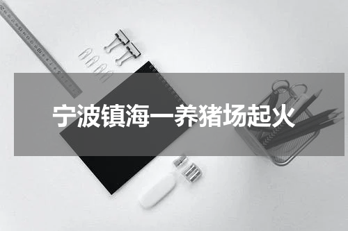 宁波镇海一养猪场起火