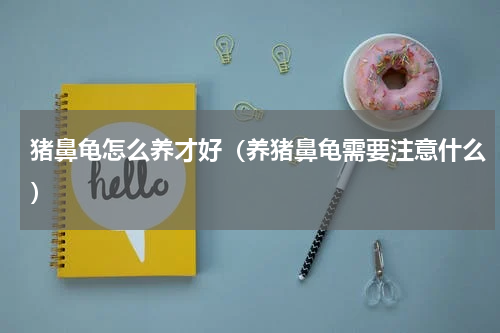 猪鼻龟怎么养才好（养猪鼻龟需要注意什么）