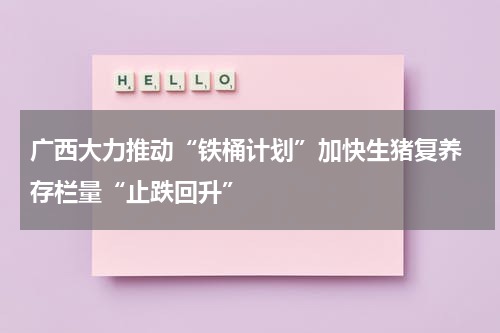 广西大力推动“铁桶计划”加快生猪复养 存栏量“止跌回升”