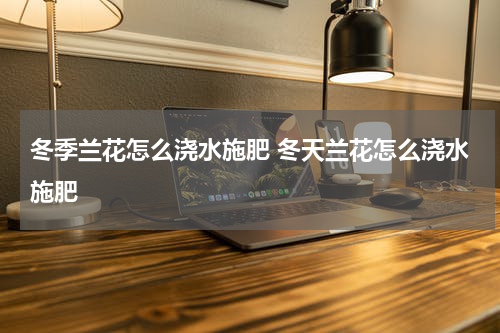 冬季兰花怎么浇水施肥 冬天兰花怎么浇水施肥