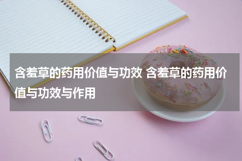 含羞草的药用价值与功效 含羞草的药用价值与功效与作用
