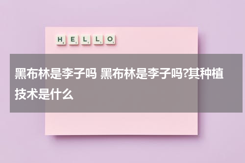黑布林是李子吗 黑布林是李子吗?其种植技术是什么