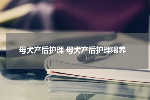 母犬产后护理 母犬产后护理喂养