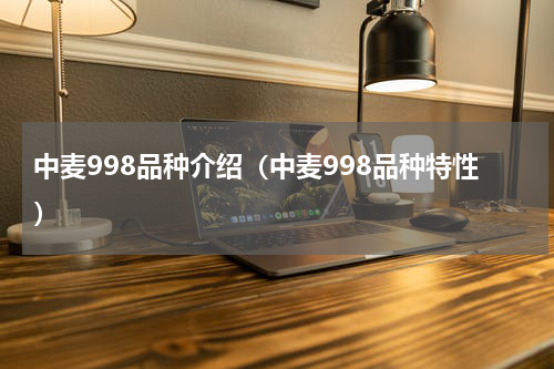 中麦998品种介绍（中麦998品种特性）