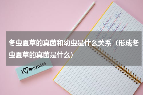 冬虫夏草的真菌和幼虫是什么关系（形成冬虫夏草的真菌是什么）