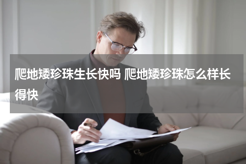 爬地矮珍珠生长快吗 爬地矮珍珠怎么样长得快