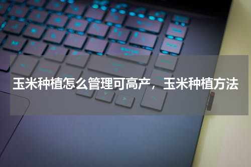 玉米种植怎么管理可高产，玉米种植方法