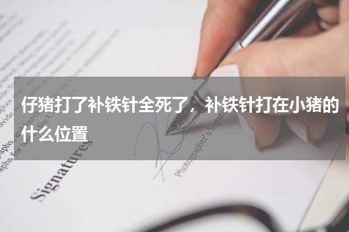 仔猪打了补铁针全死了，补铁针打在小猪的什么位置