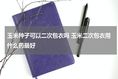 玉米种子可以二次包衣吗 玉米二次包衣用什么药最好
