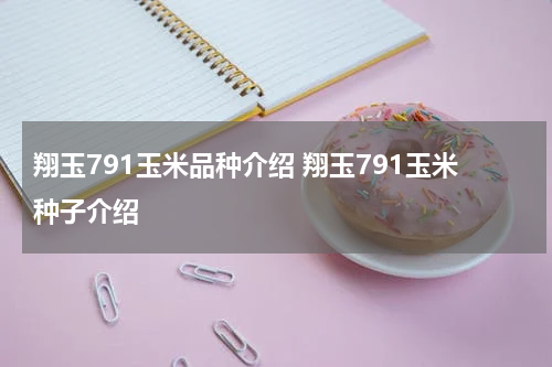 翔玉791玉米品种介绍 翔玉791玉米种子介绍