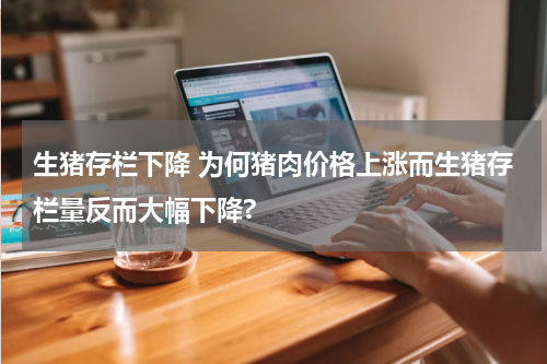 生猪存栏下降 为何猪肉价格上涨而生猪存栏量反而大幅下降?