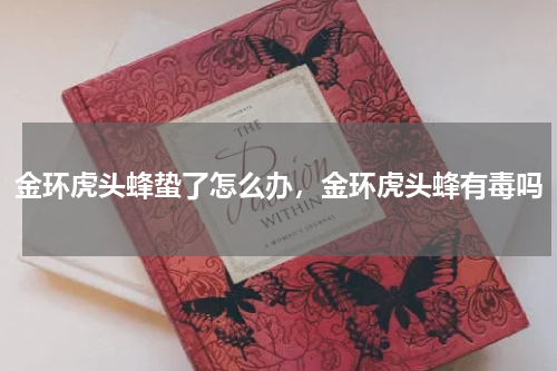 金环虎头蜂蛰了怎么办，金环虎头蜂有毒吗