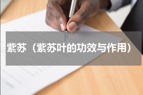 紫苏（紫苏叶的功效与作用）