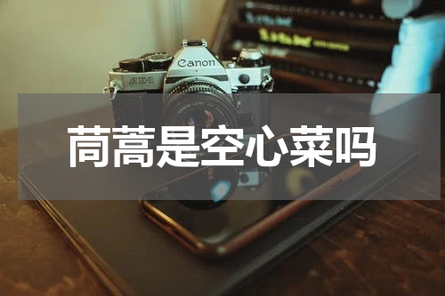 茼蒿是空心菜吗