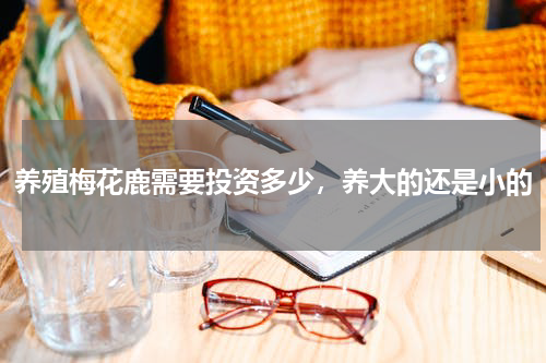 养殖梅花鹿需要投资多少，养大的还是小的