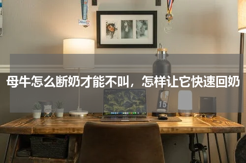 母牛怎么断奶才能不叫，怎样让它快速回奶