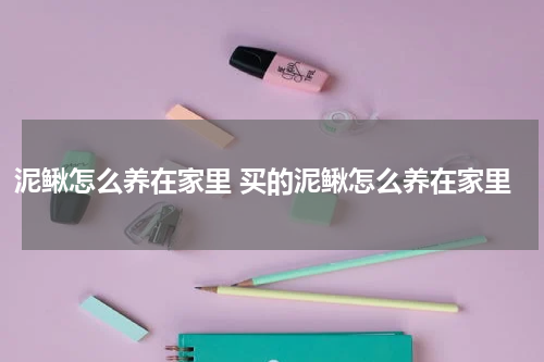 泥鳅怎么养在家里 买的泥鳅怎么养在家里