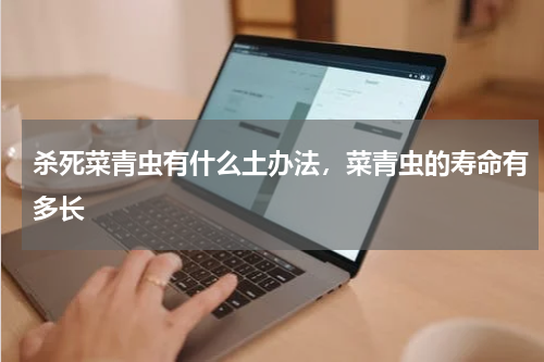杀死菜青虫有什么土办法，菜青虫的寿命有多长